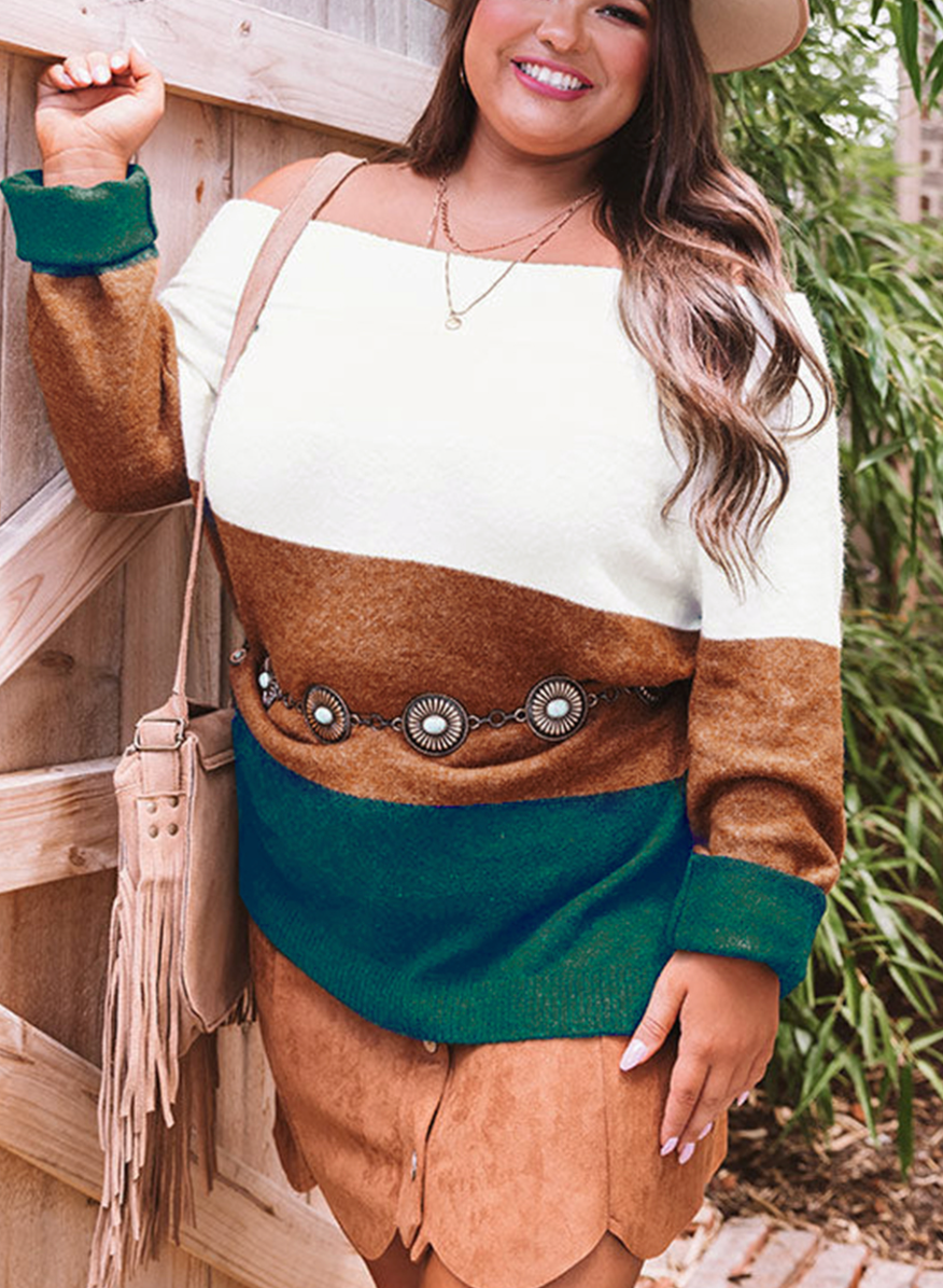 Plus size sales color block sweater