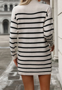 Pre-Order Stripe Long Sleeve High Neck Sweater Dress