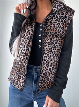 Load image into Gallery viewer, Pre-Order Brown Leopard Quilted Full Zipper Casual Puff Vest