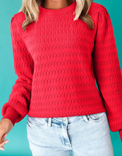 Load image into Gallery viewer, Pre-Order Trendy Pattern Knit Ribbed Cuffs Crew Neck Sweaters
