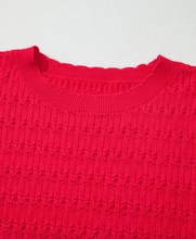 Load image into Gallery viewer, Pre-Order Trendy Pattern Knit Ribbed Cuffs Crew Neck Sweaters