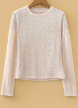 Load image into Gallery viewer, Pre-Order Semi Sheer Lace Long Sleeve Cropped Tops