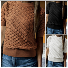 Load image into Gallery viewer, Pre-Order Fish Scale Textured Knit Ribbed High Neck Short Sleeve Sweaters