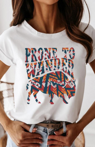 Pre-Order Prone to Wander