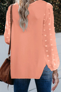 Pre-Order Coral Swiss Dot V Neck Long Sleeve Blouse