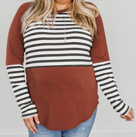 Pre-Order Plus Size Striped Color Block Long Sleeve Top