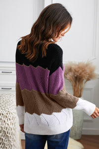 V Neck Color block Textured Knit Sweater
